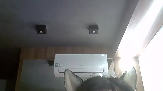 Skinny-Kitten online show from 04-03-26, 09:38