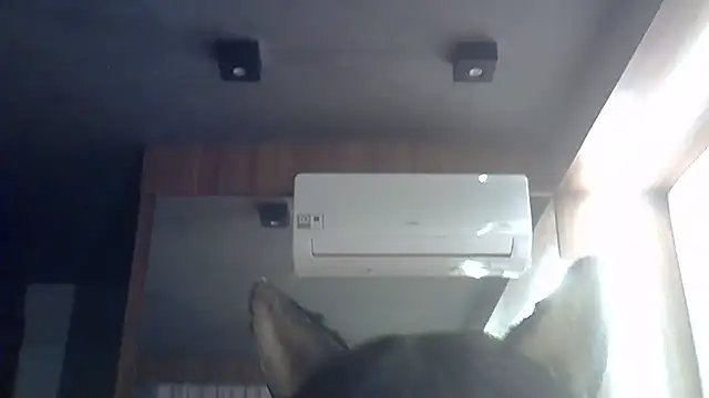 Snapshot of Skinny-Kitten chatting on 06-28-26, 01:50 Skinny-Kitten online show from 06-28-26, 01:50