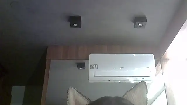 Skinny-Kitten online show from 10-04-25, 12:23