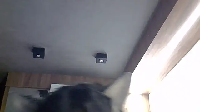 Skinny-Kitten online show from 03-30-26, 04:52