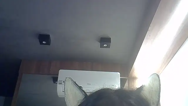 Skinny-Kitten online show from 04-08-26, 12:34