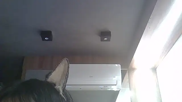 Skinny-Kitten online show from 02-17-26, 01:41