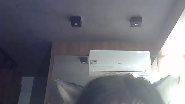 Snapshot of Skinny-Kitten chatting on 05-31-26, 11:16 Skinny-Kitten online show from 05-31-26, 11:16