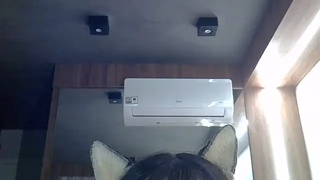 Snapshot of Skinny-Kitten chatting on 06-26-26, 11:38 Skinny-Kitten online show from 06-26-26, 11:38