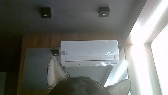 Snapshot of Skinny-Kitten chatting on 07-05-26, 06:04 Skinny-Kitten online show from 07-05-26, 06:04