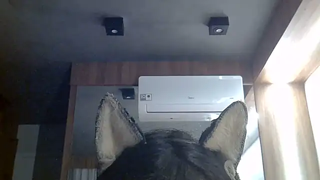 Snapshot of Skinny-Kitten chatting on 06-30-26, 02:06 Skinny-Kitten online show from 06-30-26, 02:06