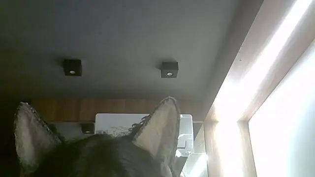 Skinny-Kitten online show from 02-15-26, 02:12