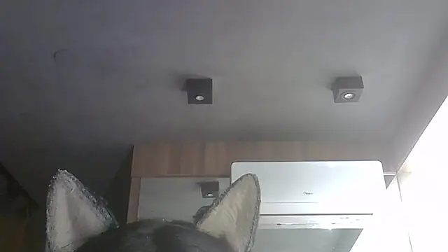 Skinny-Kitten online show from 02-02-26, 04:39