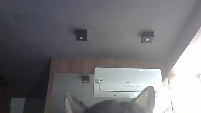 Skinny-Kitten online show from 02-10-26, 11:59