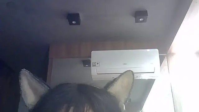 Snapshot of Skinny-Kitten chatting on 07-01-26, 02:34 Skinny-Kitten online show from 07-01-26, 02:34