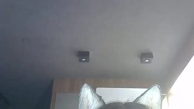 Skinny-Kitten online show from 12-15-25, 01:44