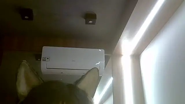 Snapshot of Skinny-Kitten chatting on 07-23-26, 02:09 Skinny-Kitten online show from 07-23-26, 02:09