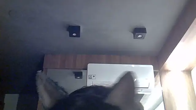 Snapshot of Skinny-Kitten chatting on 07-12-26, 07:42 Skinny-Kitten online show from 07-12-26, 07:42