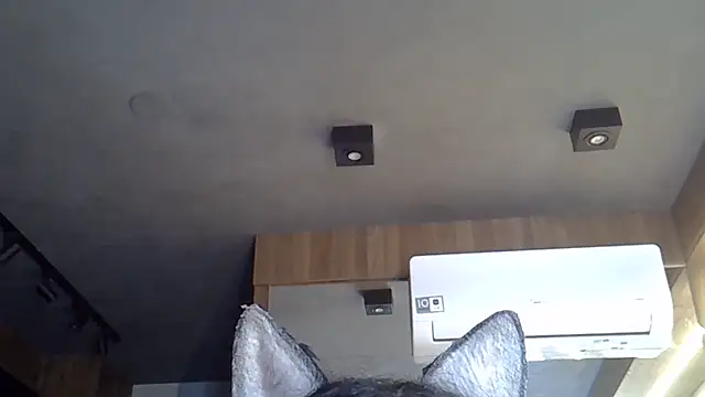 Skinny-Kitten online show from 11-06-25, 05:17