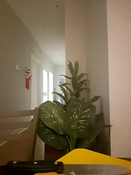 lofibunni online show from 03-18-26, 06:42