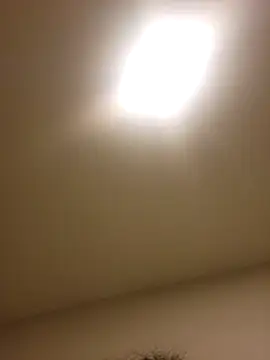 lofibunni online show from 02-15-26, 03:29