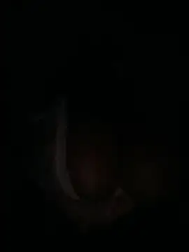 m yummyshish online show from 04-01-26, 01:30