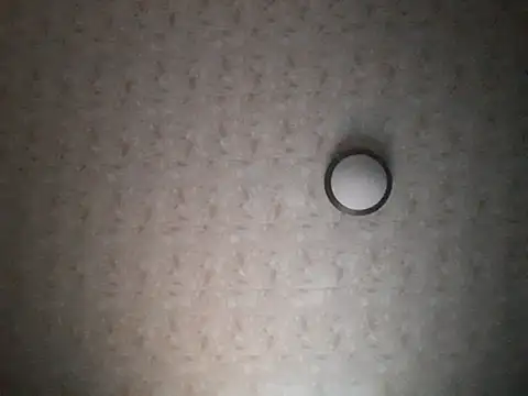 Stormward online show from 11-30-25, 11:38