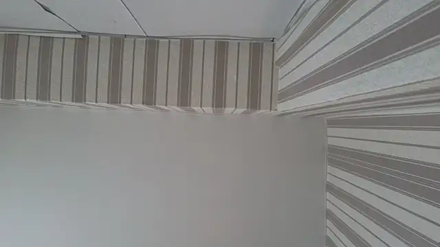 Snapshot of lily__foster chatting on 09-23-25, 05:58 lily foster online show from 09-23-25, 05:58
