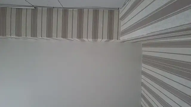 Snapshot of lily__foster chatting on 09-22-25, 05:46 lily foster online show from 09-22-25, 05:46