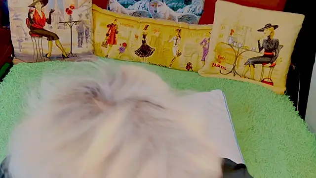 stiphlermom online show from 11-29-25, 03:34