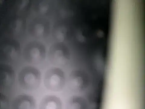 Danii0790 online show from 11-08-25, 06:39