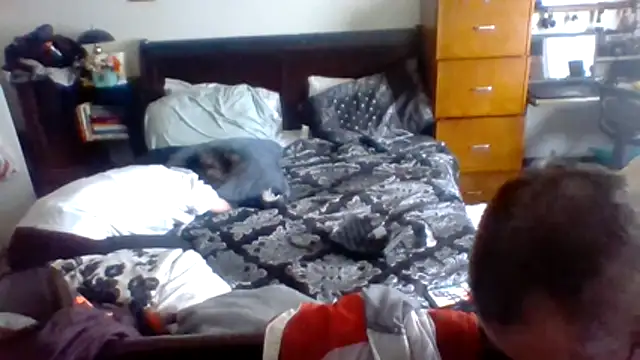 Snapshot of ThickStickly1 chatting on 04-14-26, 06:24 ThickStickly1 online show from 04-14-26, 06:24