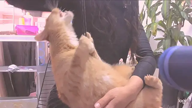 MYFAVOURITESTRAGER online show from 03-10-26, 08:46