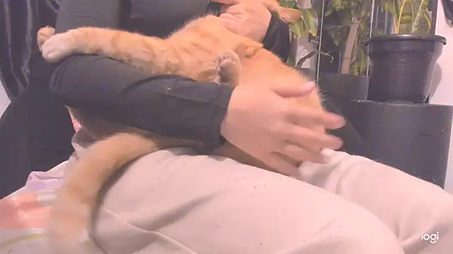 MYFAVOURITESTRAGER online show from 11-23-25, 02:54