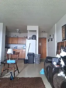 blkhereforall online show from 03-19-26, 04:51