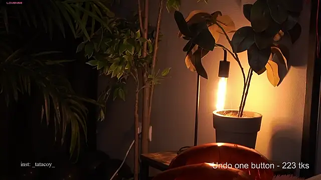 TataCoy online show from 02-15-26, 02:49