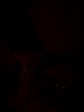 nalalye cruzz  online show from 09-29-25, 02:29