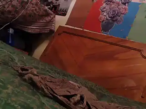 EllyseJenner online show from 01-22-25, 06:10