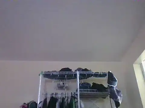 alphaswitchard online show from 12-24-24, 06:50