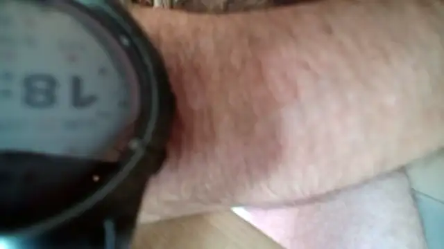 Snapshot of Dan3106x chatting on 06-22-26, 04:37 Dan3106x online show from 06-22-26, 04:37