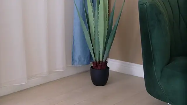 Bailey Rush online show from 11-25-25, 03:34