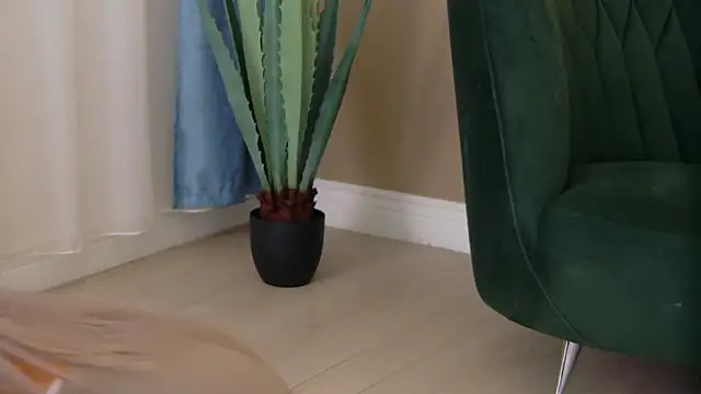 Bailey Rush online show from 12-05-25, 03:54