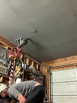 Midwestalpha online show from 03-15-26, 07:37