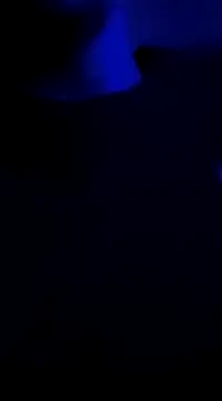 Snapshot of Midwestalpha chatting on 01-06-25, 10:02 Midwestalpha online show from 01-06-25, 10:02