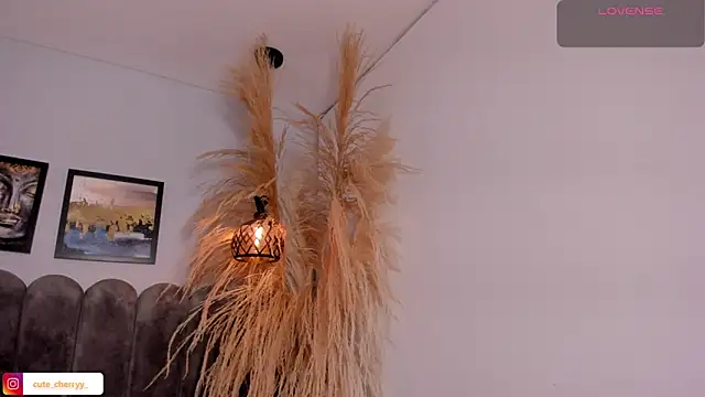 cute  cherry  online show from 04-14-26, 08:25