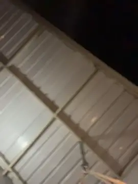 ZahaRoseee online show from 03-26-26, 03:49