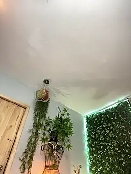 VickyJackson  online show from 02-26-26, 05:46