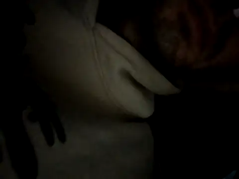 Snapshot of trap_xandi_playlist chatting on 10-29-25, 05:01 trap xandi playlist online show from 10-29-25, 05:01