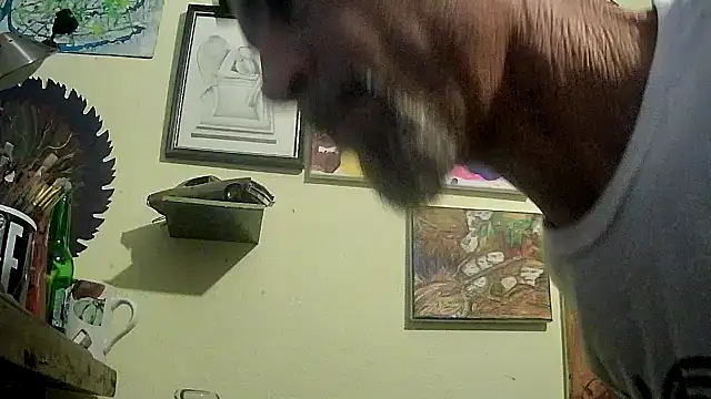 druetrue online show from 11-09-25, 10:03