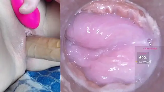 danigirl866 online show from 01-14-25, 11:48