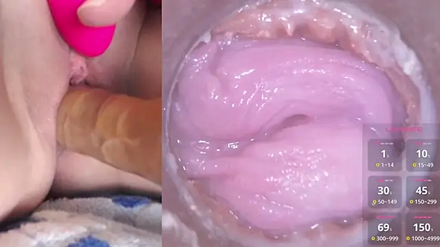 danigirl866 online show from 01-02-25, 05:07