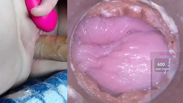 danigirl866 online show from 02-19-25, 05:16