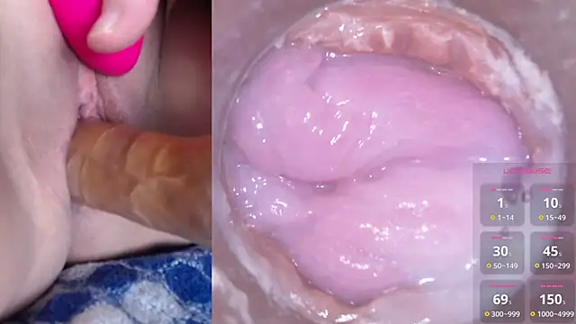 danigirl866 online show from 01-14-25, 04:39