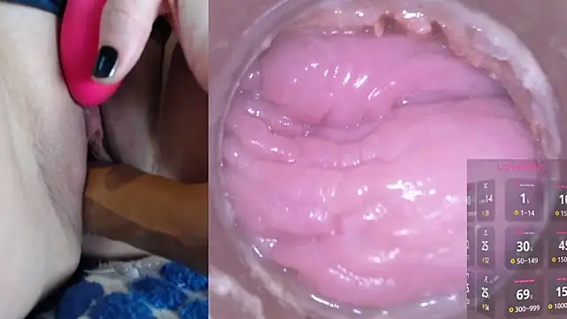 danigirl866 online show from 12-02-24, 03:21