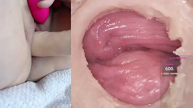 danigirl866 online show from 11-24-25, 09:04